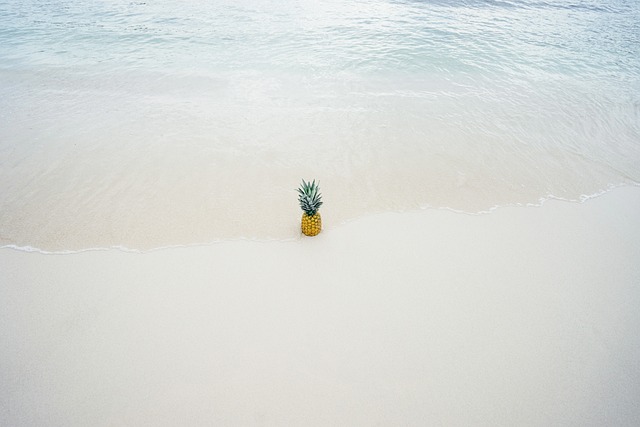 De veelzijdigheid van de ananas boom ontdekken